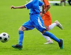 刘亦菲九年,未晒圈动态,隐匿于生活,MG,MG电子官网,MGapp,MG电子登录入口,MG电子注册