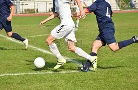 杨紫转账乔,欣引热议,嫉妒胡一天,MG,MG电子官网,MGapp,MG电子登录入口,MG电子注册