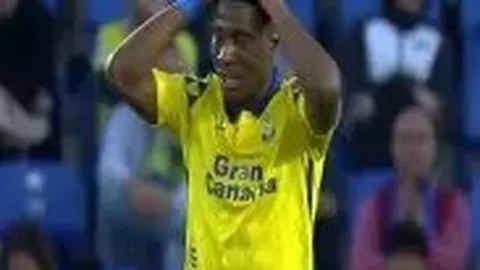 刘亦菲九年未晒圈动态：隐匿于生活之外