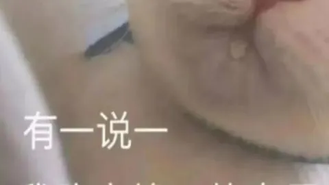 大乐透期号专家精准推荐，精选13场质合分析