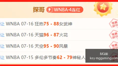 电子 ，MG电子登录，132619